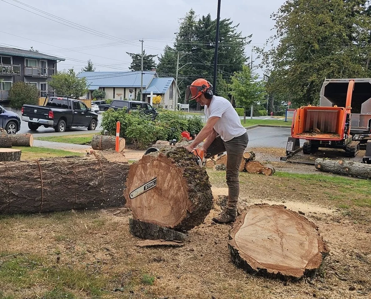 CLAY-NOR crew member cutting a log beside a wood chipper